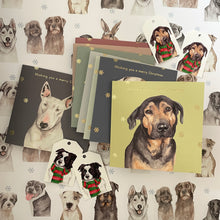 Load image into Gallery viewer, The StreetVet Ultimate Christmas Bundle