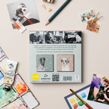 Load image into Gallery viewer, Freddie & Bella StreetVet 8 Christmas Card Pack - lil wabbit