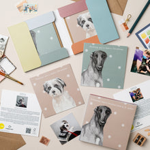 Load image into Gallery viewer, Freddie & Bella StreetVet 8 Christmas Card Pack - lil wabbit