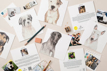 Load image into Gallery viewer, StreetVet Ty Everyday card - lil wabbit