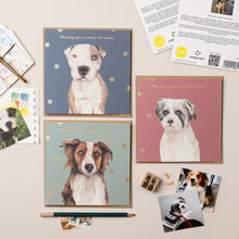 Load image into Gallery viewer, StreetVet Alfie Christmas card with Gold Foil - lil wabbit