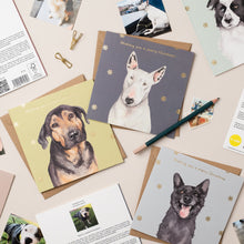 Load image into Gallery viewer, StreetVet 8 Card Christmas Bundle