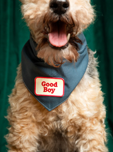 Load image into Gallery viewer, Good Boy Iron-On Patch Scout's Honour card