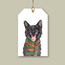 Load image into Gallery viewer, StreetVet Gift Tag Variety Pack - lil wabbit