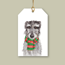 Load image into Gallery viewer, StreetVet Gift Tag Variety Pack - lil wabbit