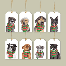 Load image into Gallery viewer, StreetVet Gift Tag Variety Pack - lil wabbit