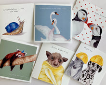 Load image into Gallery viewer, The Occasion 6 card bundle - lil wabbit