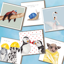 Load image into Gallery viewer, The Occasion 6 card bundle - lil wabbit