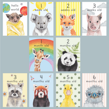 Load image into Gallery viewer, Hand-Me-Down Baby Milestone cards - lil wabbit