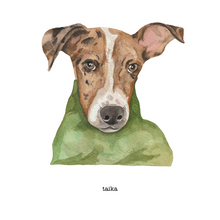 Load image into Gallery viewer, Watercolour Pet Portrait - lil wabbit