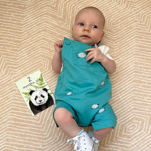 Load image into Gallery viewer, Hand-Me-Down Baby Milestone cards - lil wabbit
