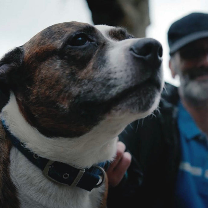 StreetVet Profit Share