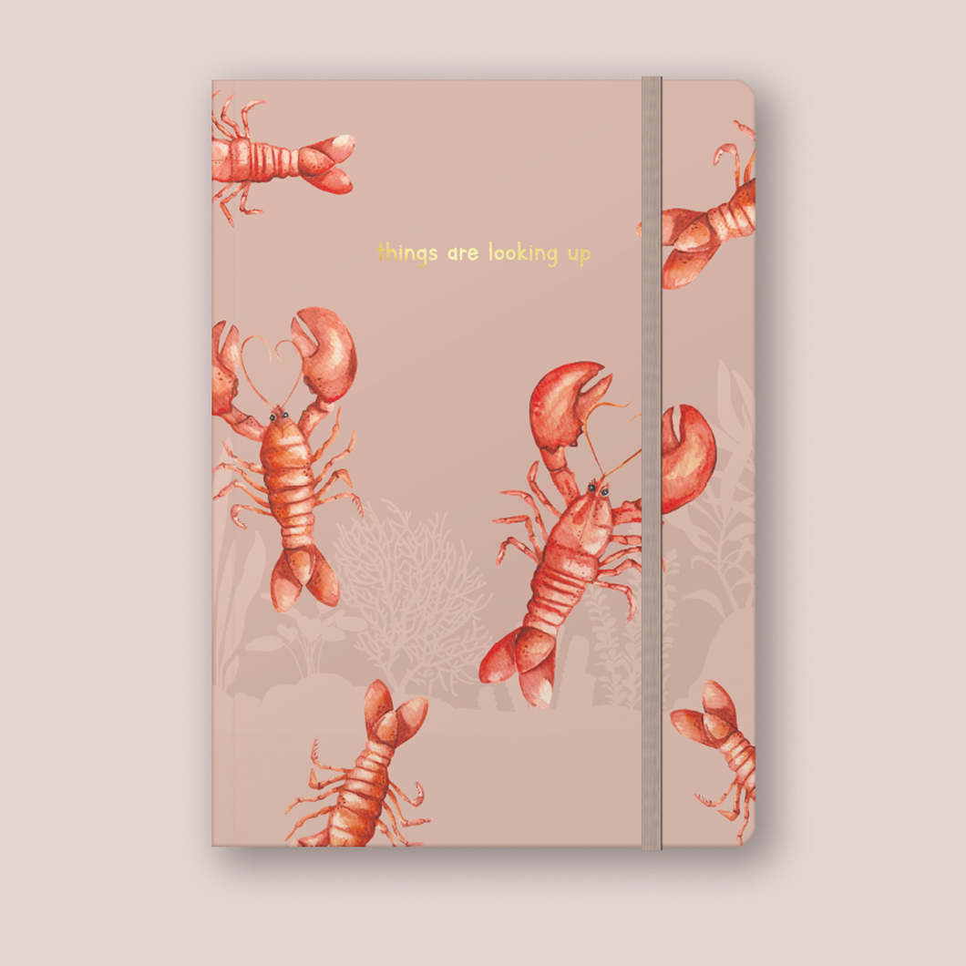 Lobster Things Are Looking Up A5 Notebook