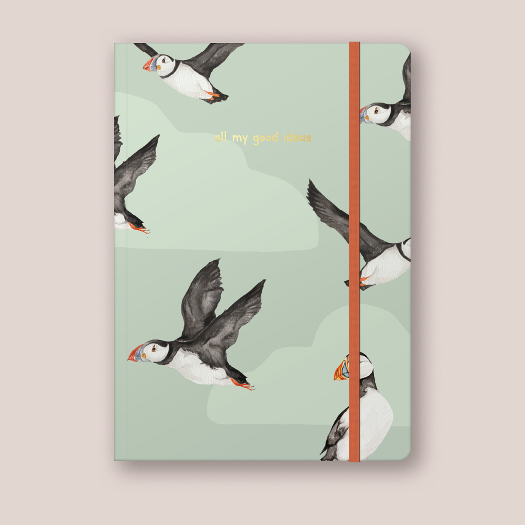 Puffin All My Good Ideas A5 Notebook