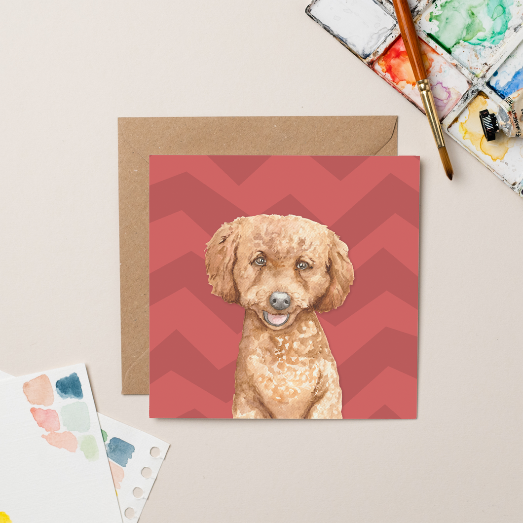 Parker Dog Breed card