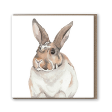 Load image into Gallery viewer, StreetVet Pickle Everyday card - lil wabbit
