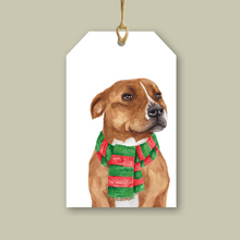 Load image into Gallery viewer, StreetVet Gift Tag Variety Pack - lil wabbit
