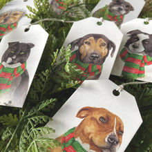 Load image into Gallery viewer, StreetVet Swift - Christmas Gift Tag - lil wabbit
