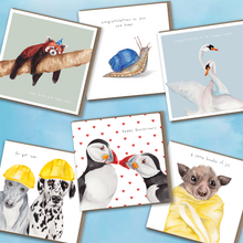 Load image into Gallery viewer, The Occasion 6 card bundle - lil wabbit
