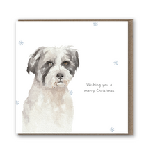 Load image into Gallery viewer, StreetVet 8 Card Christmas Bundle - lil wabbit
