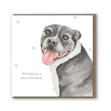 Load image into Gallery viewer, StreetVet 8 Card Christmas Bundle - lil wabbit
